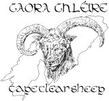 Cape Clear Sheep